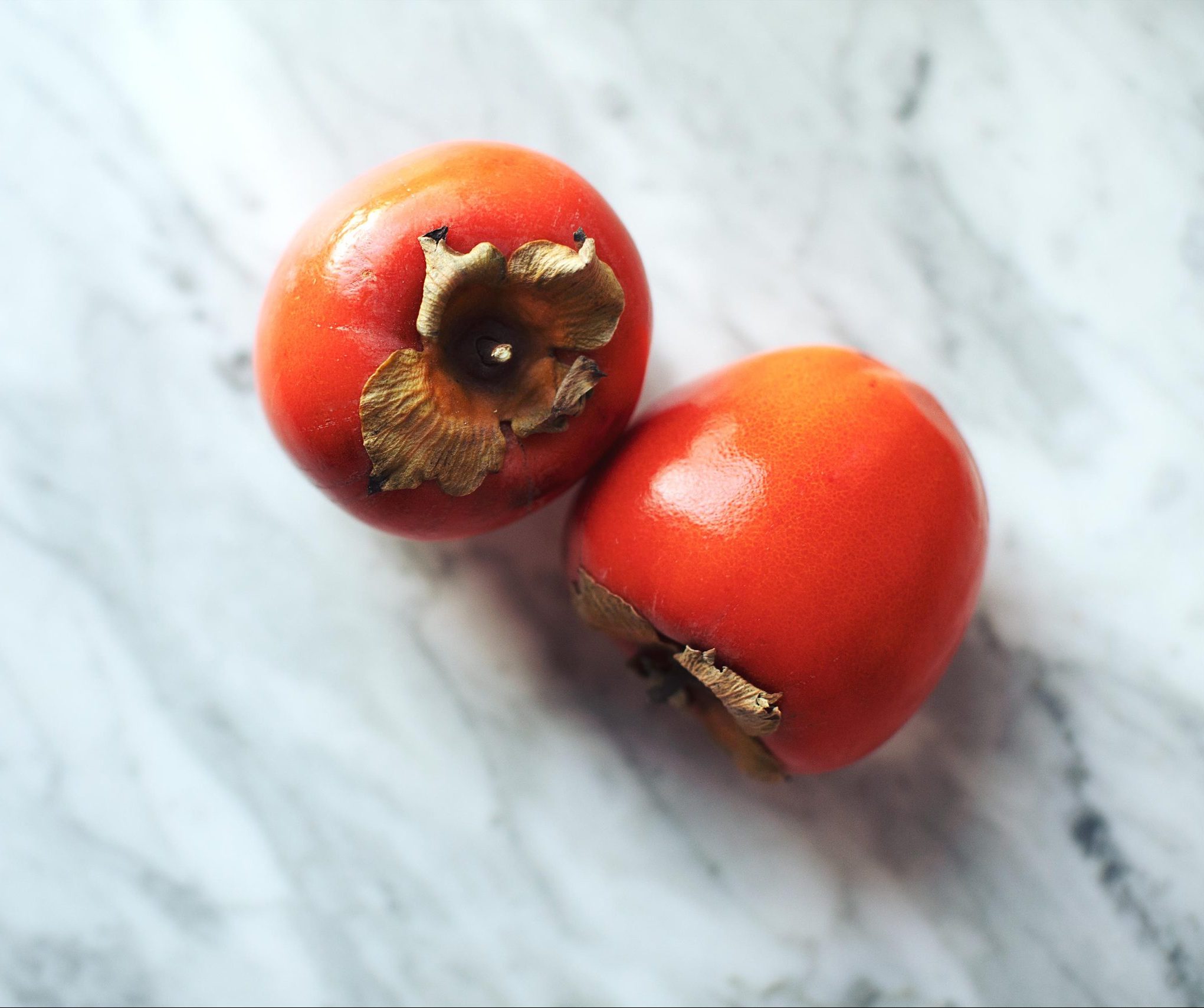 Persimmon - My New Roots Grow