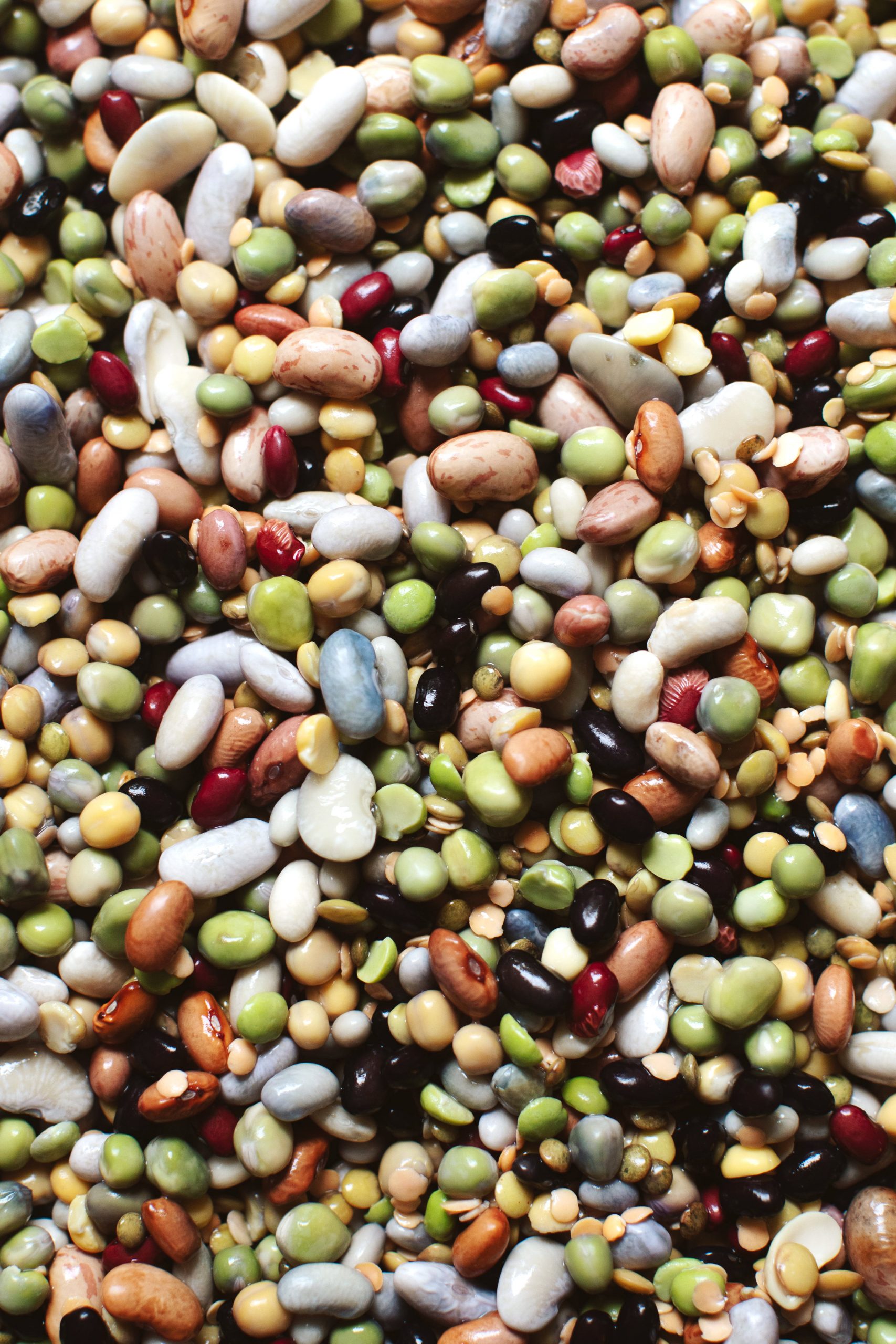 rainbowbeans